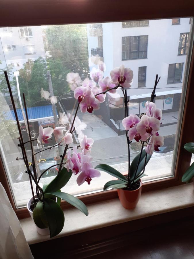 דירות וארנה Four Seasons + מראה חיצוני תמונה
